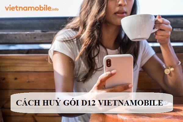 [CHI TIẾT] Cách huỷ gói D12 của Vietnamobile nhanh chóng
