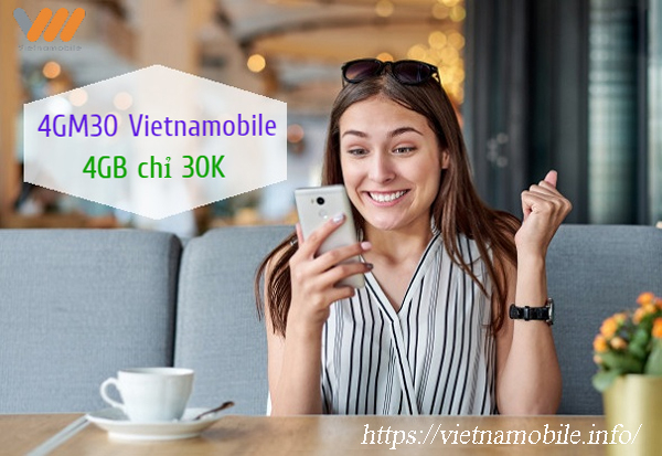 Ưu đãi khi đăng ký gói 4GM30 Vietnamobile gồm những gì?
