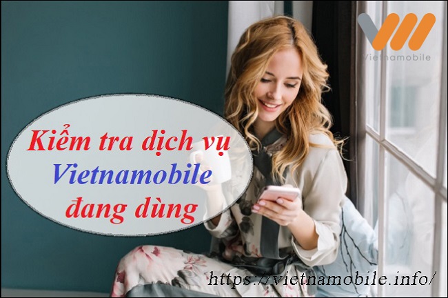 Cách kiểm tra dịch vụ Vietnamobile đang dùng