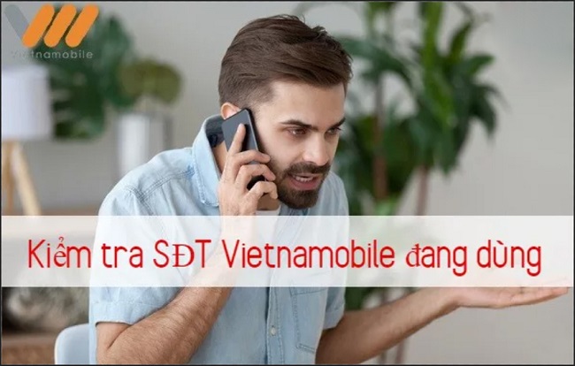 Cách kiểm tra số điện thoại Vietnamobile đang sử dụng