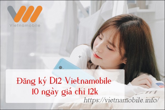 Gói D12 Vietnamobile ưu đãi 300MB, chỉ với 12.000đ/ 10 ngày