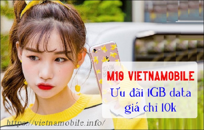 Vì sao đăng ký gói F15 Vietnamobile tự chuyển sang M10?
