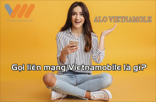 Đăng ký gói ALO20 Vietnamobile miễn phí gọi liên mạng dưới 20 phút