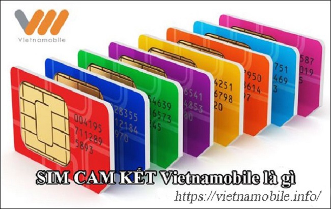 SIM CAM KẾT Vietnamobile là gì? Có nên dùng SIM Cam Kết?